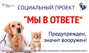 Объявления