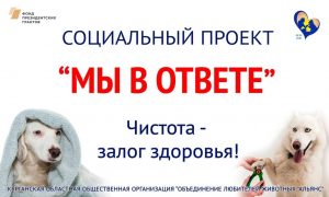 Объявления