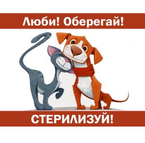 Объявления