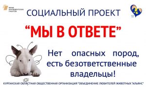 Объявления