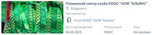 Новости